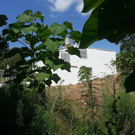 Rosa * Simat de la Valldigna